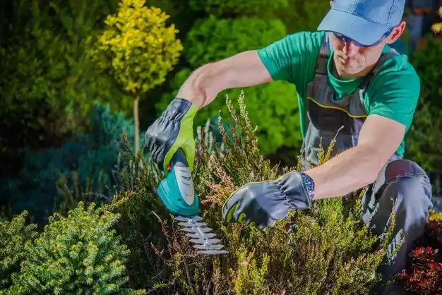 landscaping services East Palestine